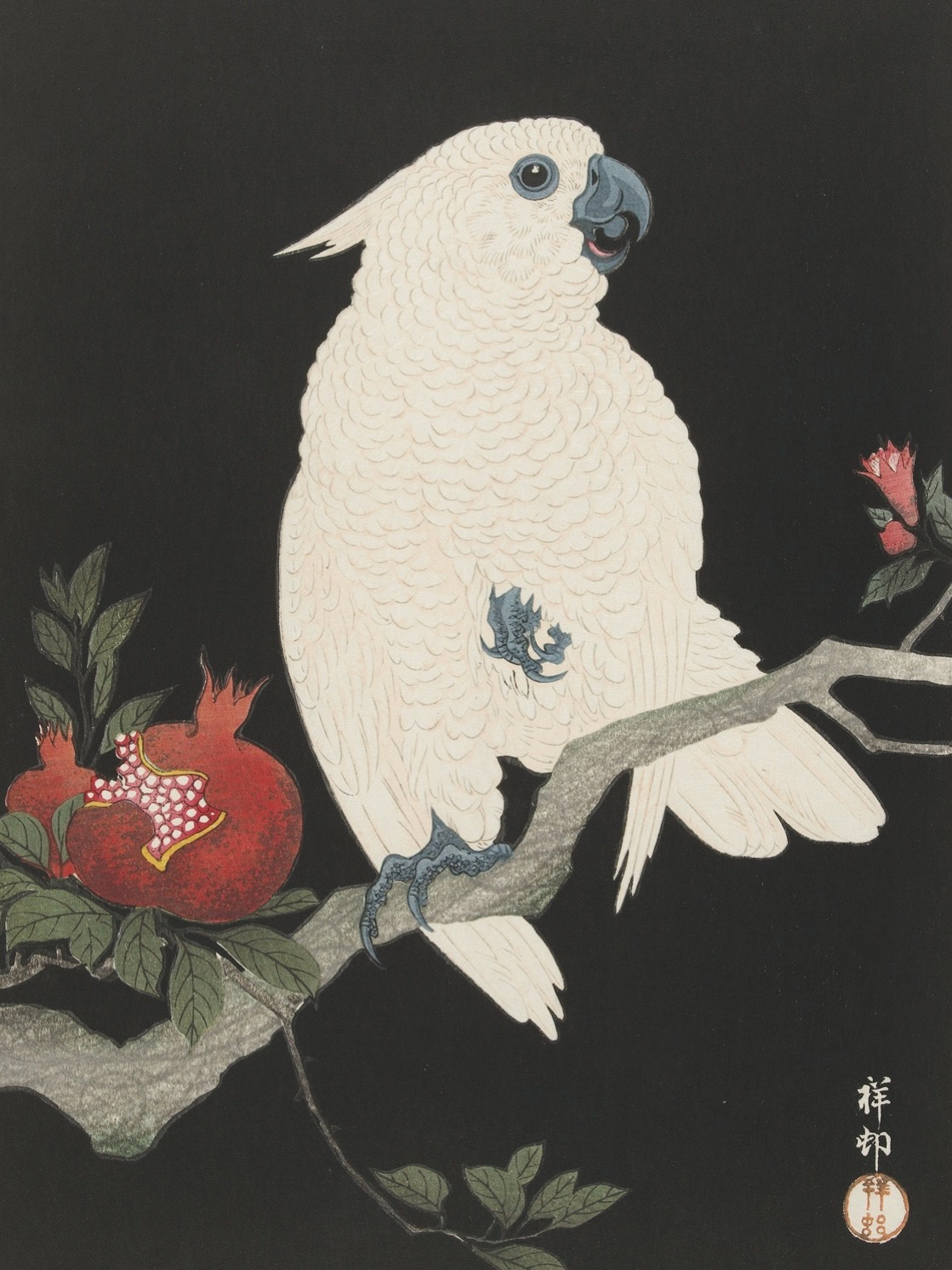 小原古邨『柘榴と鸚鵡』 / 鳥 - 名画の動物園